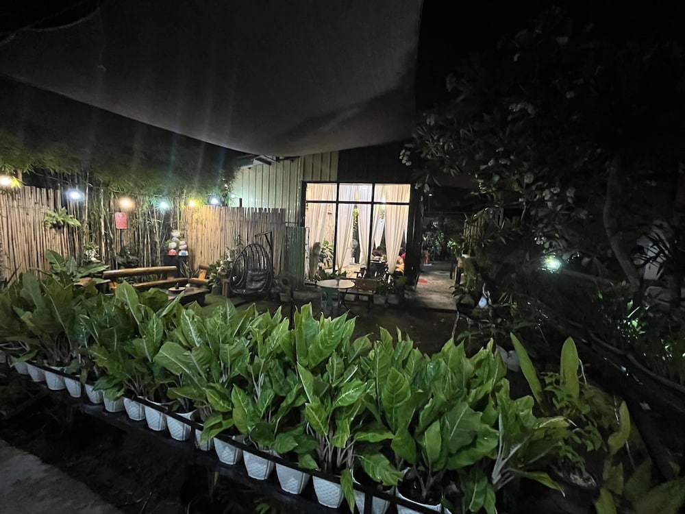 Фото Manora Apartments and Guest House