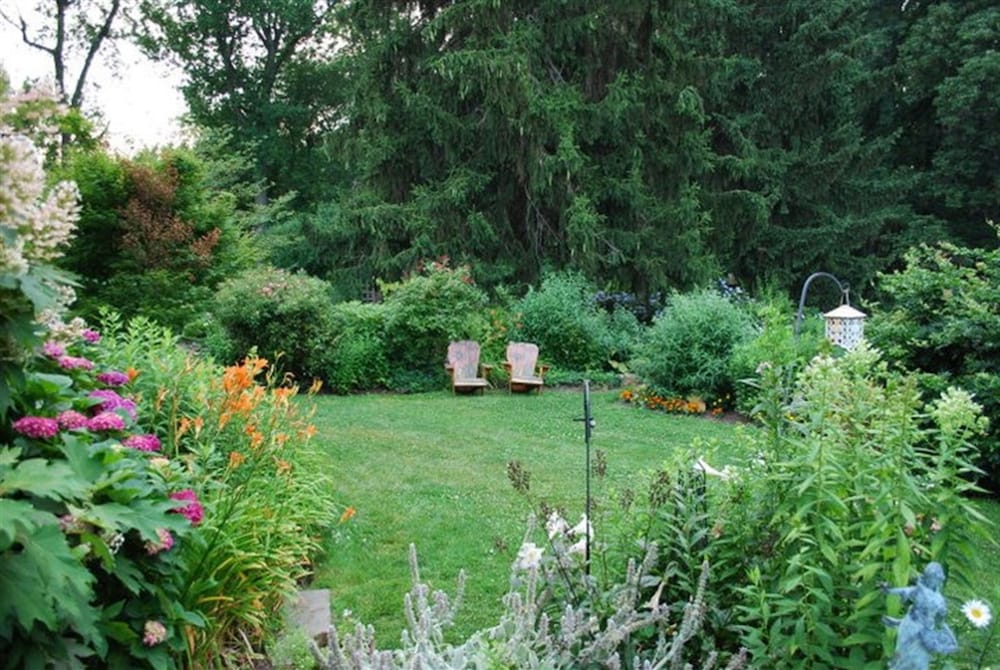 Фото Wild Wisteria