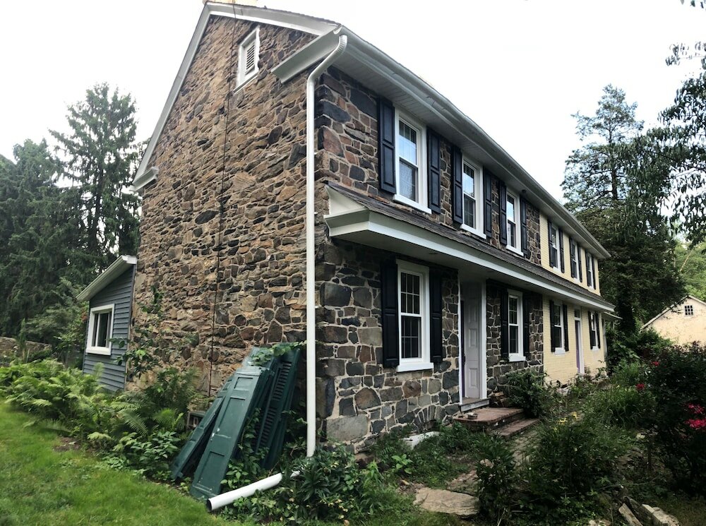 Фото Wild Wisteria