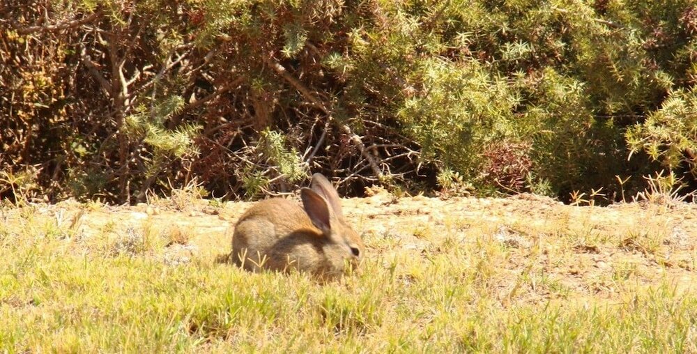 Фото Kalimera Paros