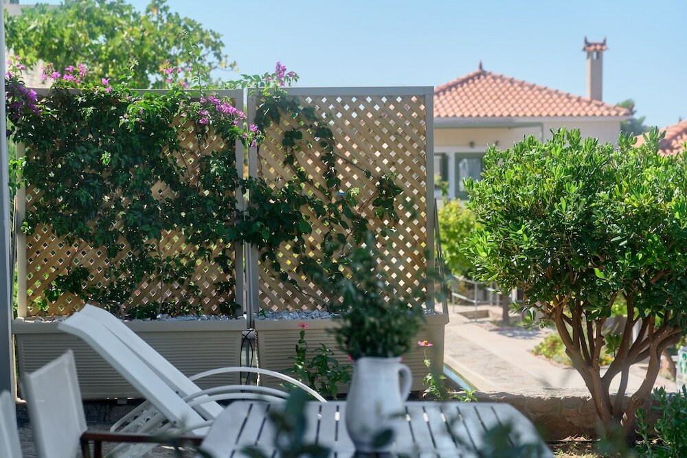 Фото Little Bird