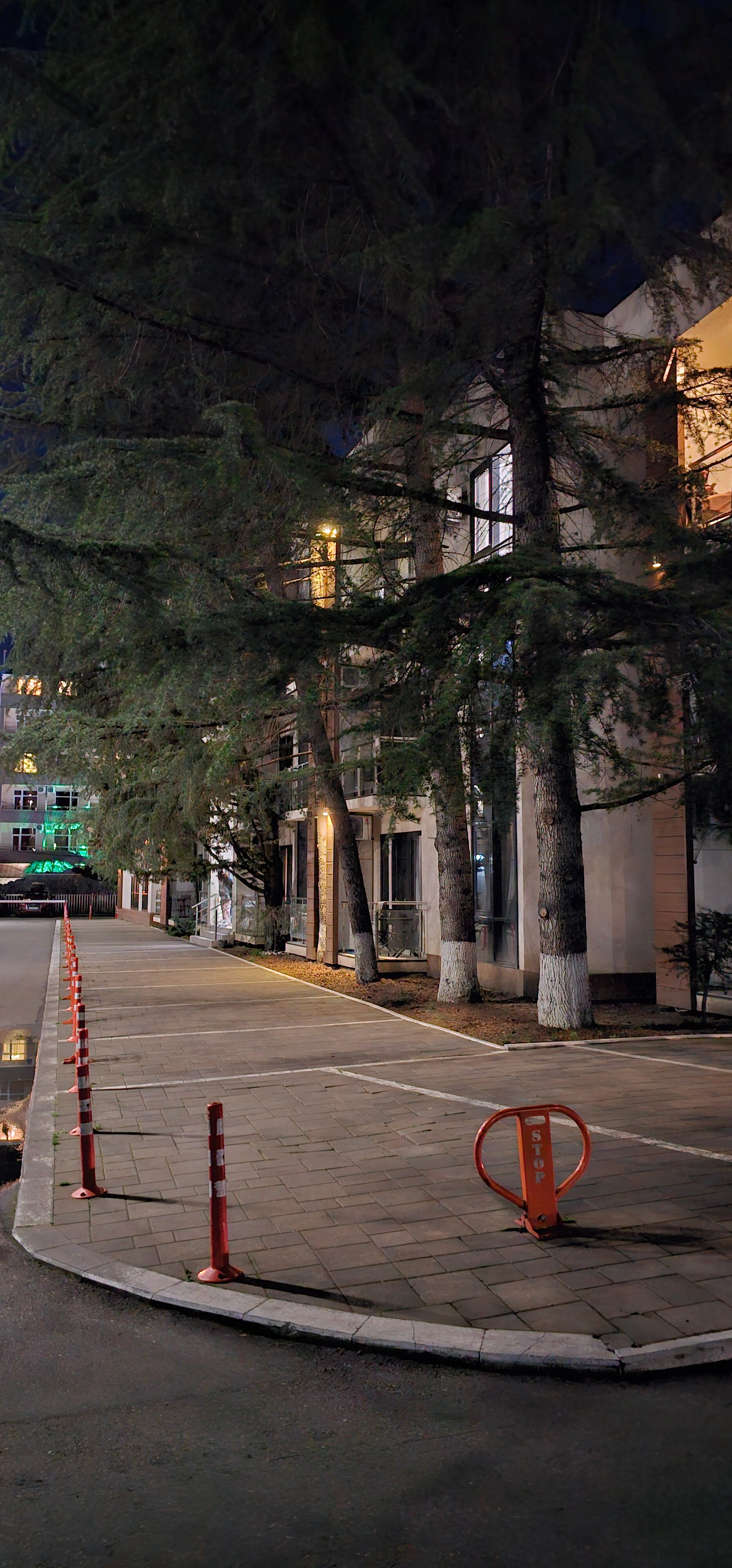 Фото Южный Вайб Мадрид парк 2