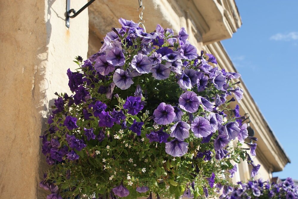 Фото Dean Park Guest House