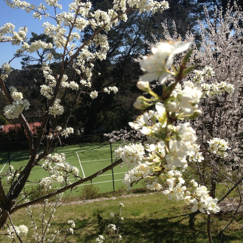 Фото Bethany Manor Bed & Breakfast