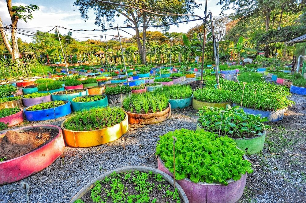 Фото Birds and Bees Resort