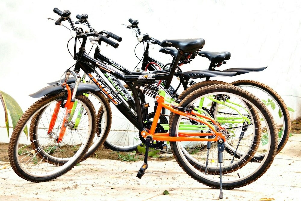 Фото Backpacker Panda Goa