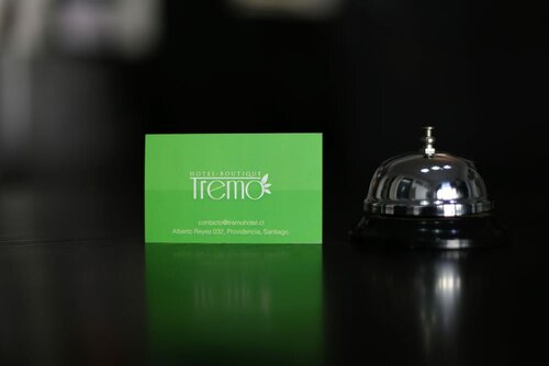 Гостиница Hotel Boutique Tremo Bellas Artes в Сантьяго