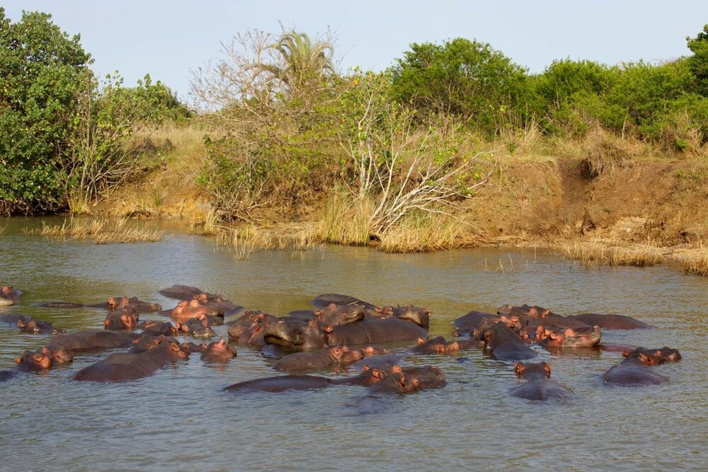 Фото Lodge Afrique