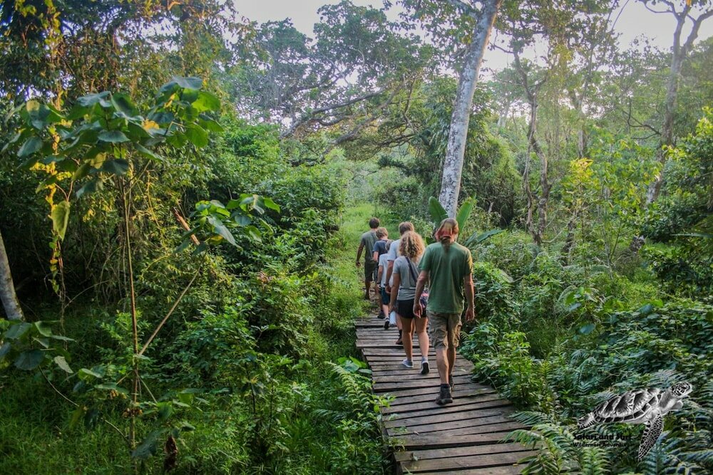 Фото Lodge Afrique