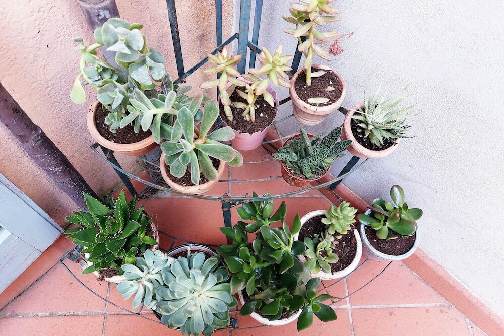 Фото Bellezza al Colosseo B&b and Apartments