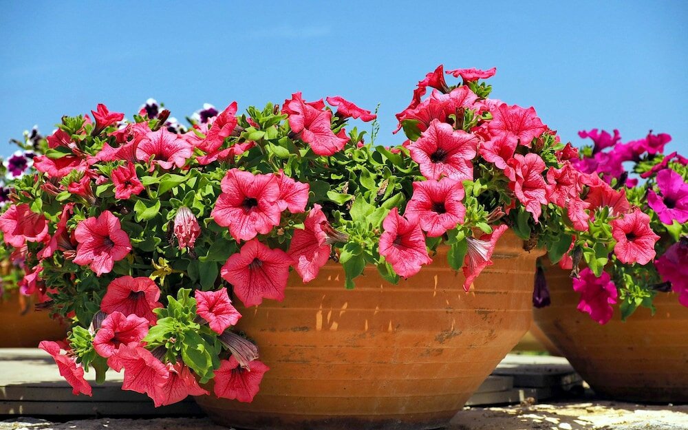 Фото To Armiro Boutique Houses