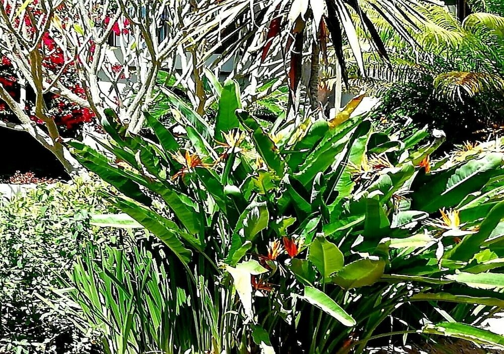 Фото De Wingerd Wijnland Lodge