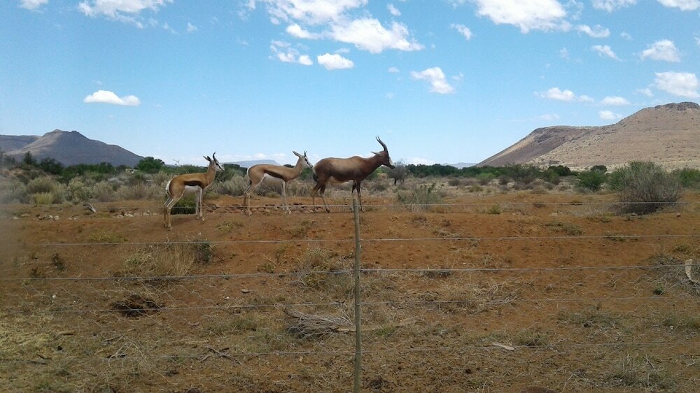 Фото Travalia Guest Farm