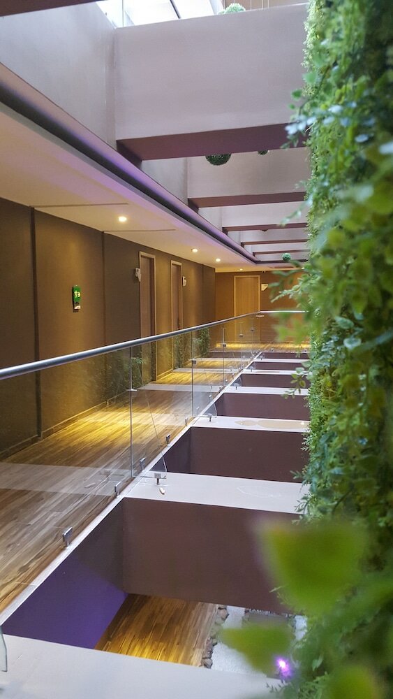 Фото Hotel Catedral Plaza