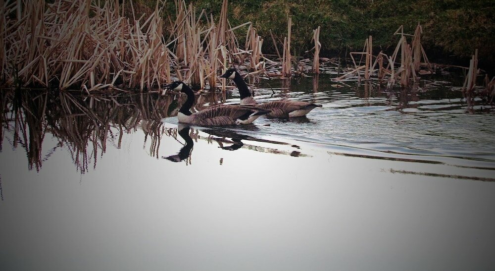 Фото The Moorhead Bed & Breakfast