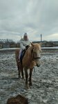 Fantasia Horse Club (Avıagorodok kóshesi, 1А) ، ركوب الخيل