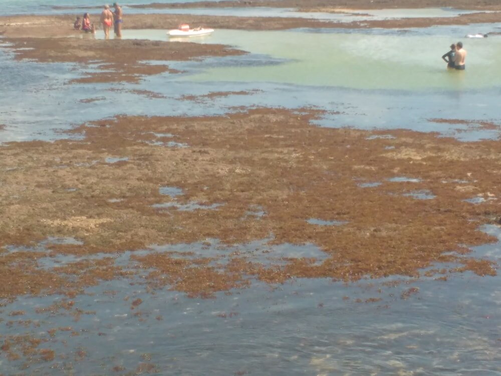 Фото Pousada dos Girassóis