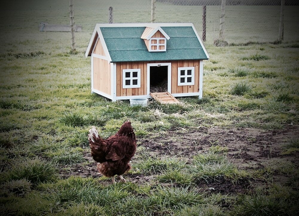 Фото The Moorhead Bed & Breakfast