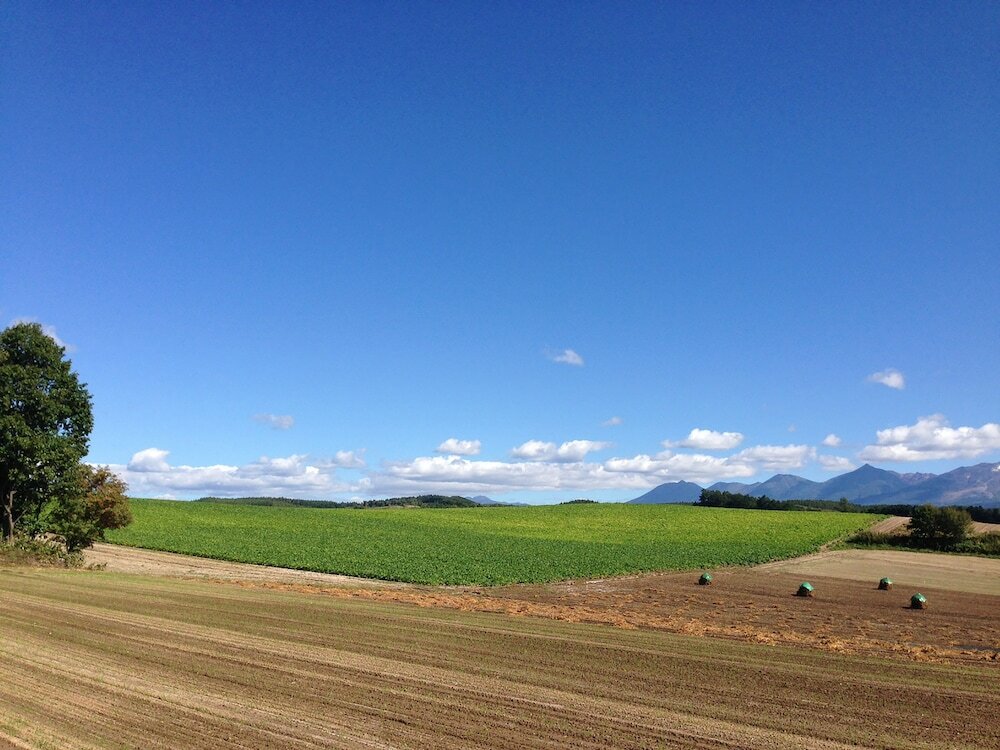 Фото Pension Landscape Furano