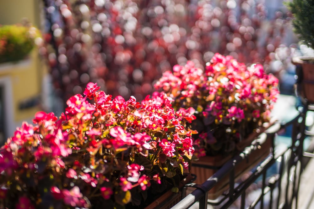 Фото Il Tiglio Hotel