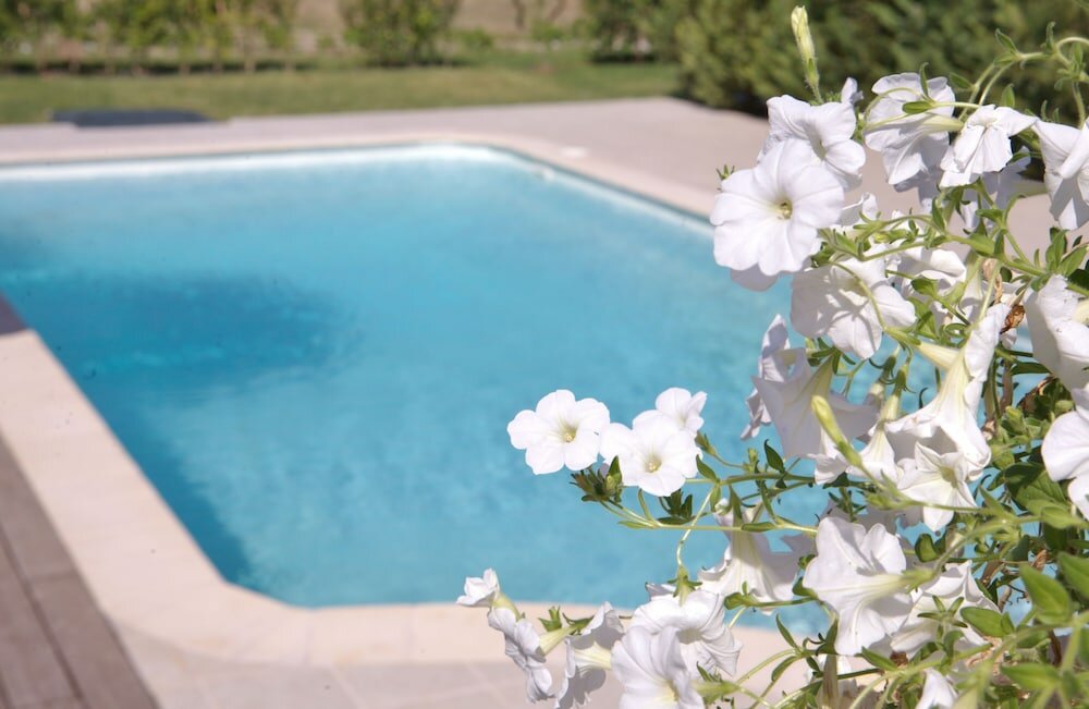 Фото Il Viaggio Verde