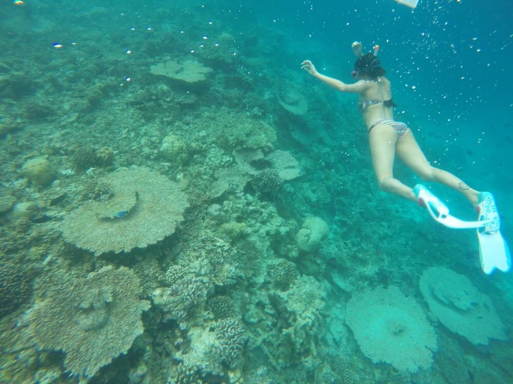 Фото Rasdhoo Coralville Hotel