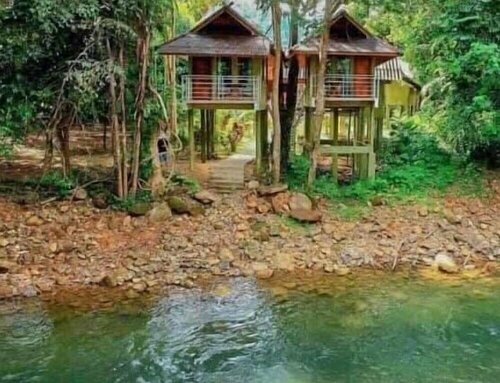 Гостиница Khao Sok Jungle Huts