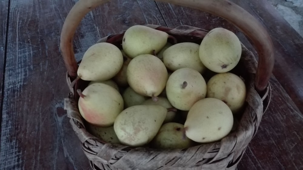 Фото Agriturismo Mare e Monti