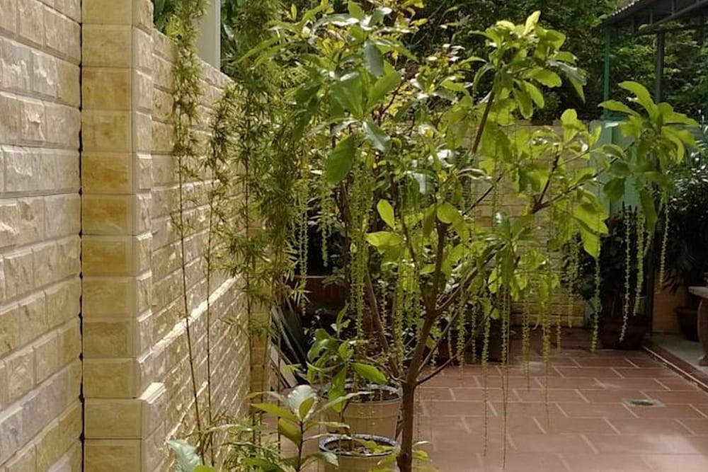 Фото Hi Hop Yen Homestay