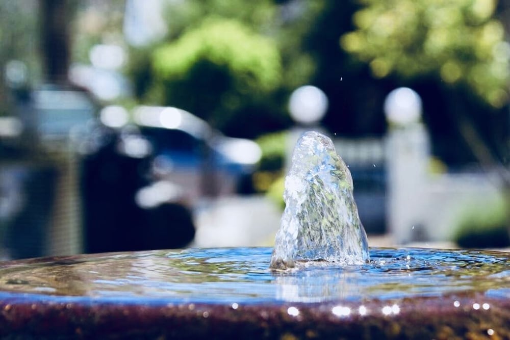 Фото Kleinplasie Guesthouse