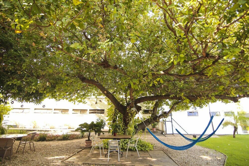 Фото Alfa Hotel Teresina