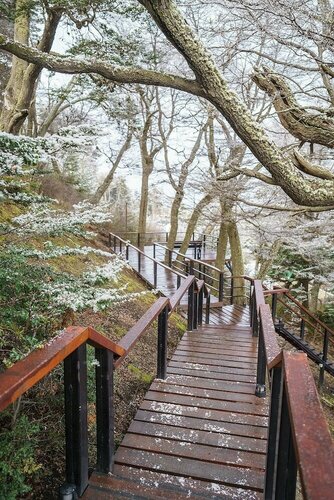 Гостиница Hotel Los Nires в Провинции Огненная Земля