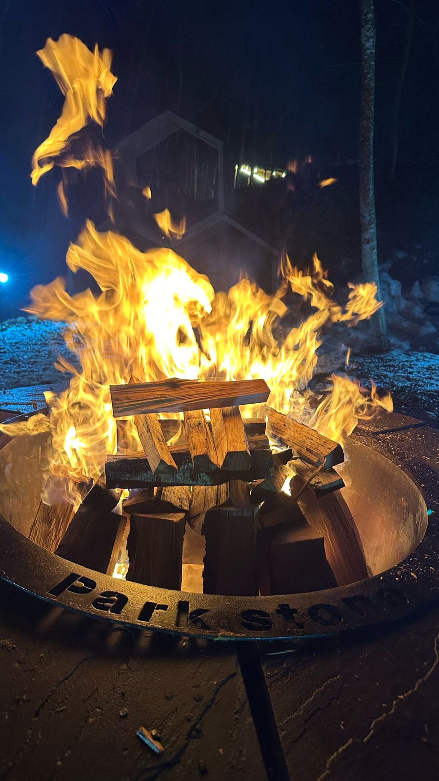 Фото Мишка на прудах