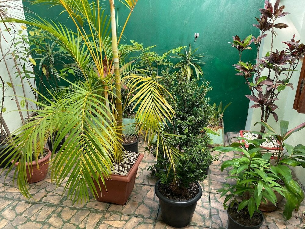 Фото Hotel Westphal