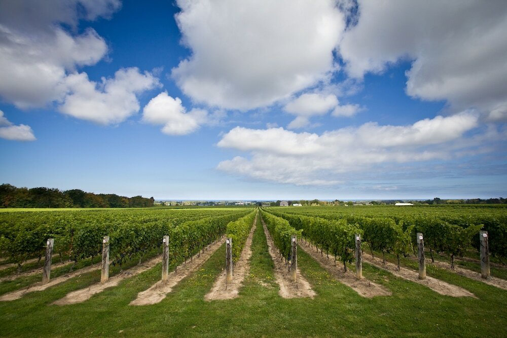 Фото The Charles Hotel