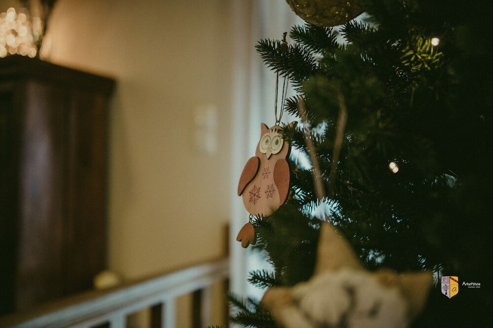 Фото Arkefthos Mountain Hotel