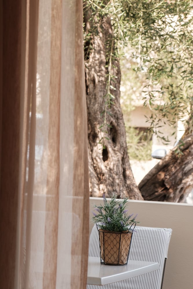 Фото Terezas Hotel