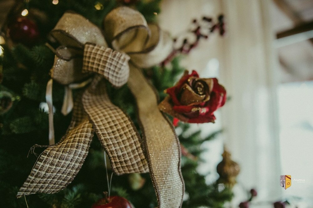 Фото Arkefthos Mountain Hotel