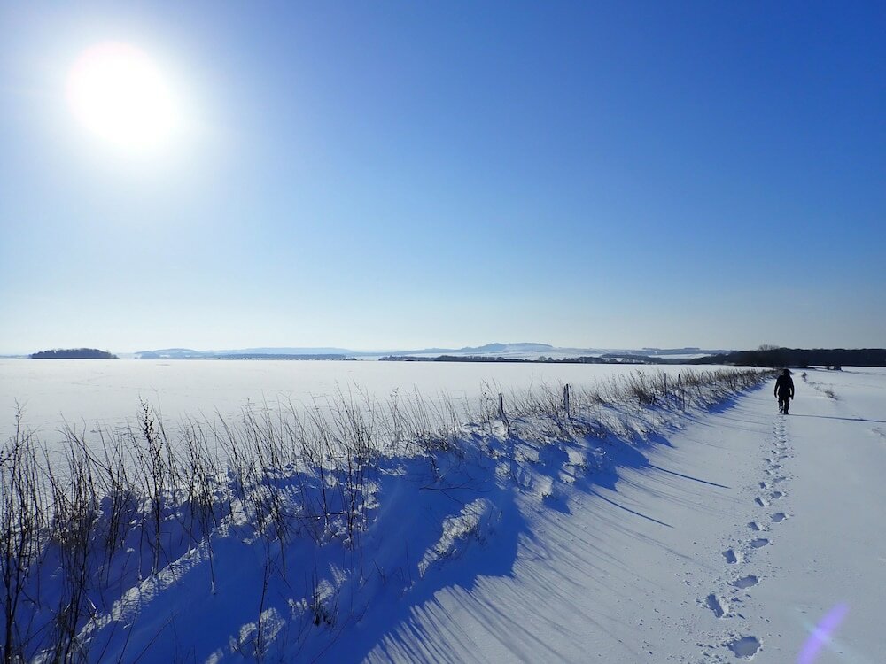 Фото Manor Farm B & B