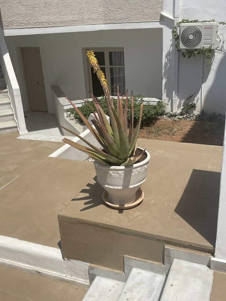 Фото Coralli Beach Hotel