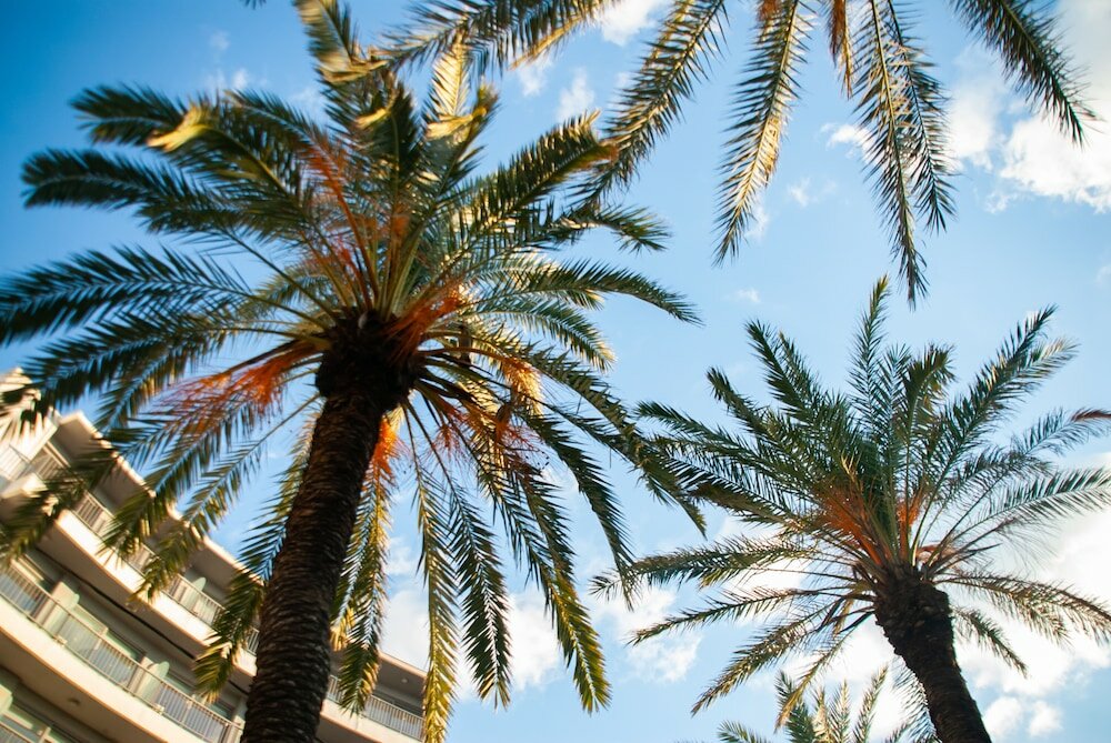 Фото Stay Hotel Rhodes