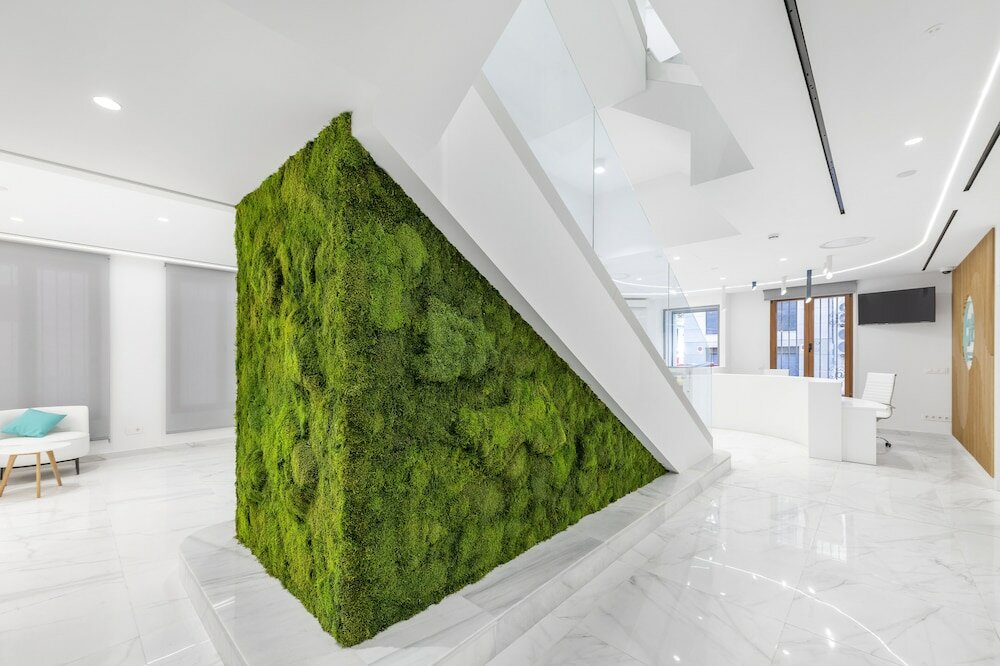 Фото Odyssey Rooms