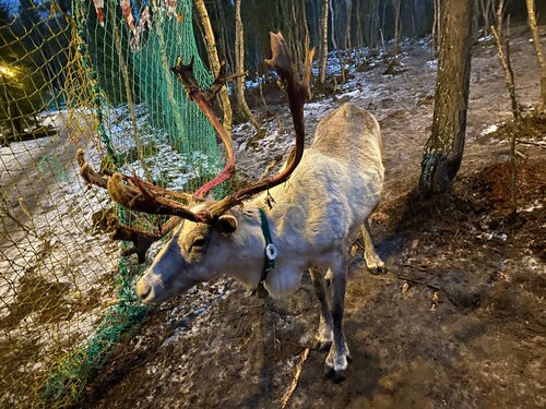 Дом отдыха Парк-Отель Тайга в Кильдинстрое