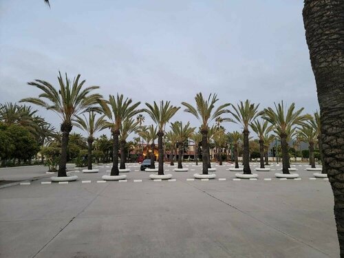 Гостиница Hotel Paraíso Las Palmas