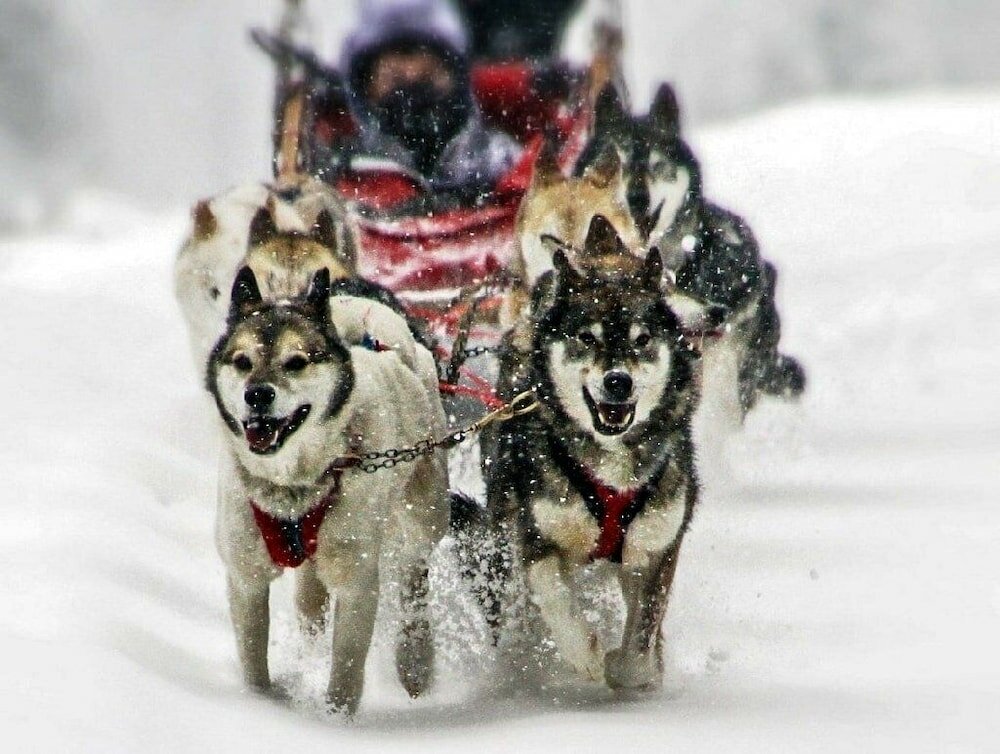 Фото Vetta Alpine Relax