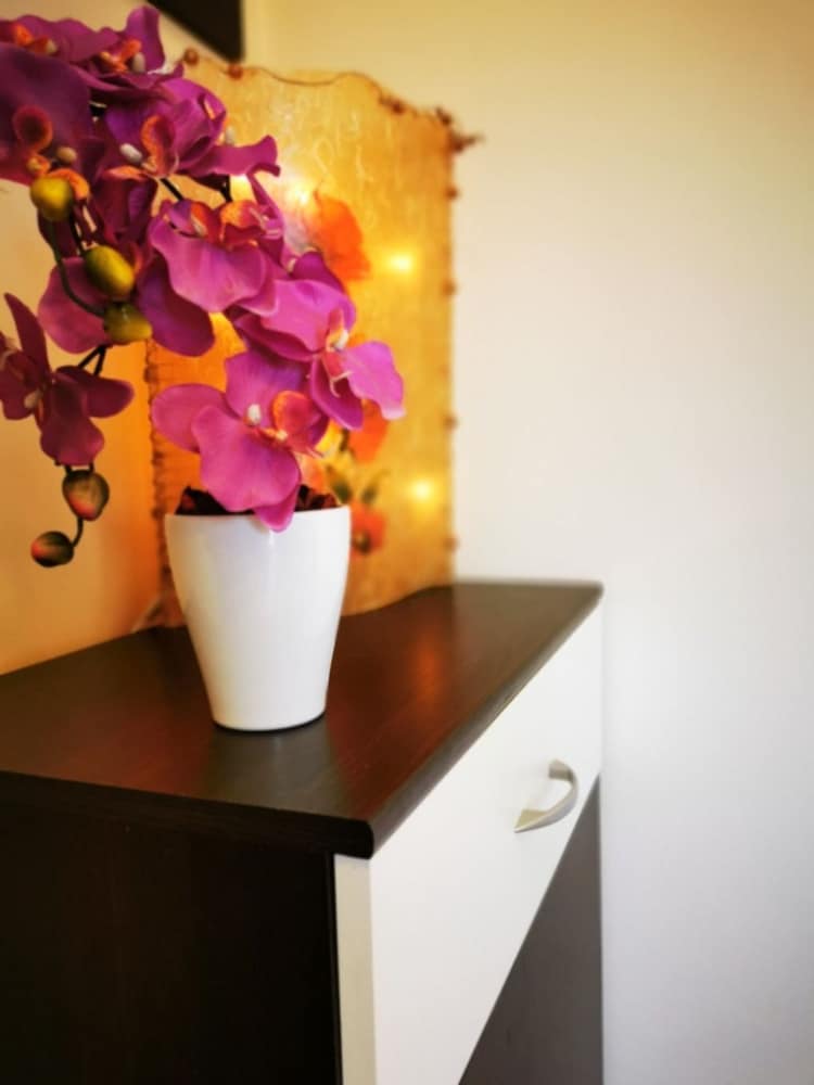 Фото Tiho - 300 m From sea - A1