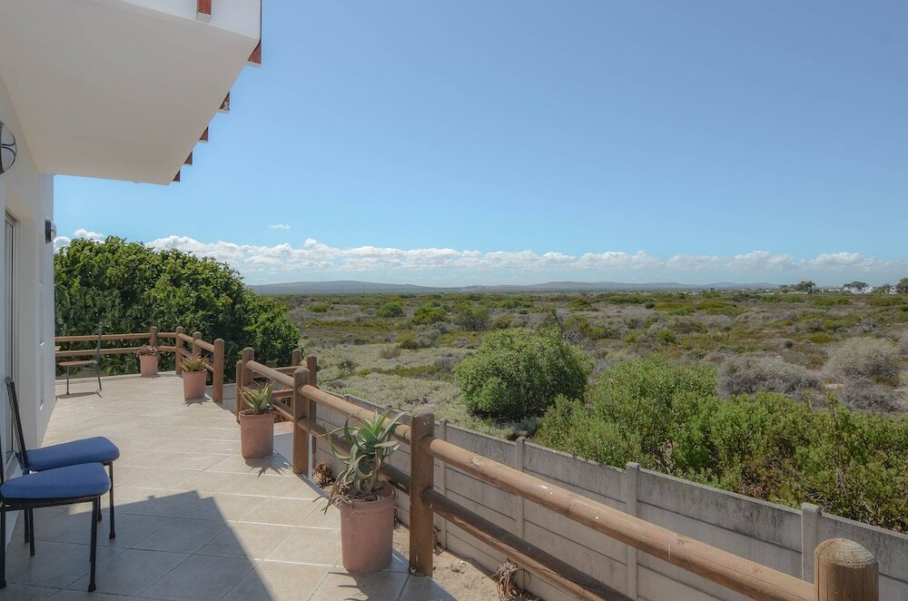 Фото The Happy Cactus