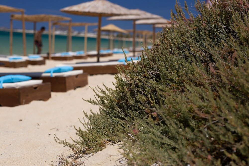 Фото Archon Seaside Retreat