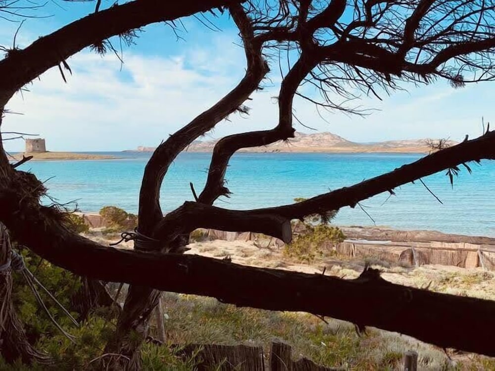 Фото Residenze Capo Falcone