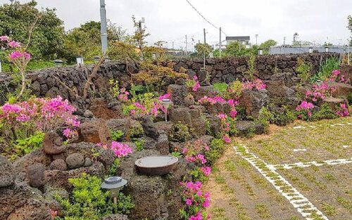 Гостиница Jeju Hanttobagi Guest House